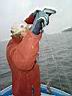 DSC00894.JPG