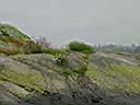 DSC00903.JPG